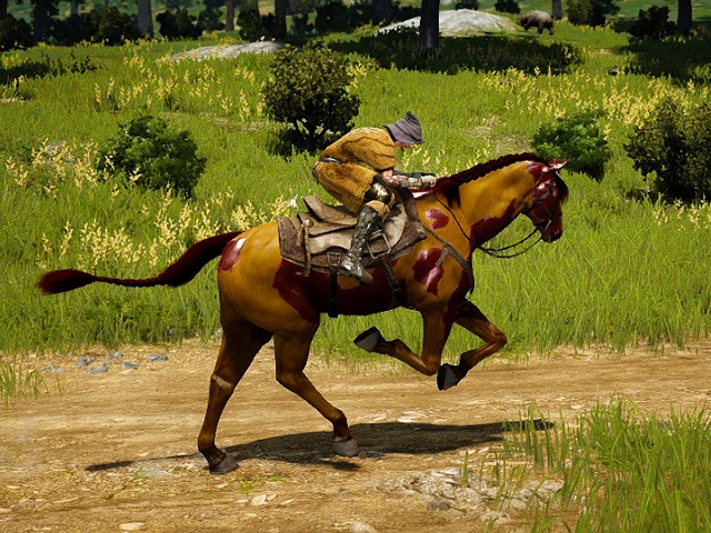 安価な革鞍を装備した個性的な馬さん