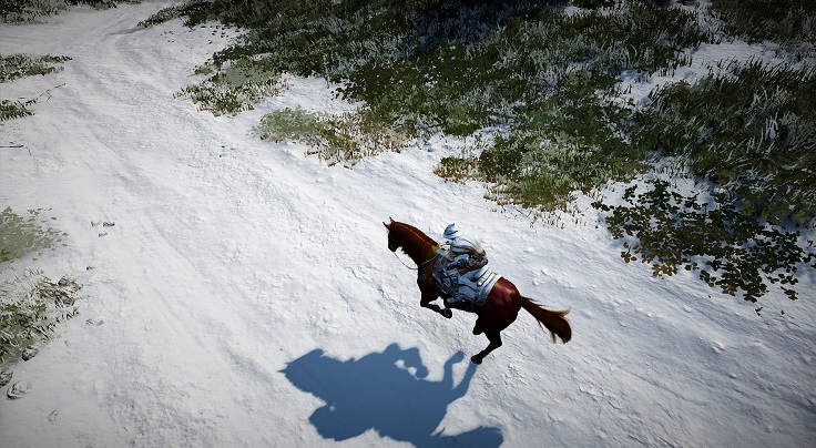 雪の中を走る馬