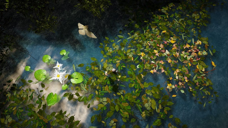 カルフェオンの水面に浮かぶ落ち葉