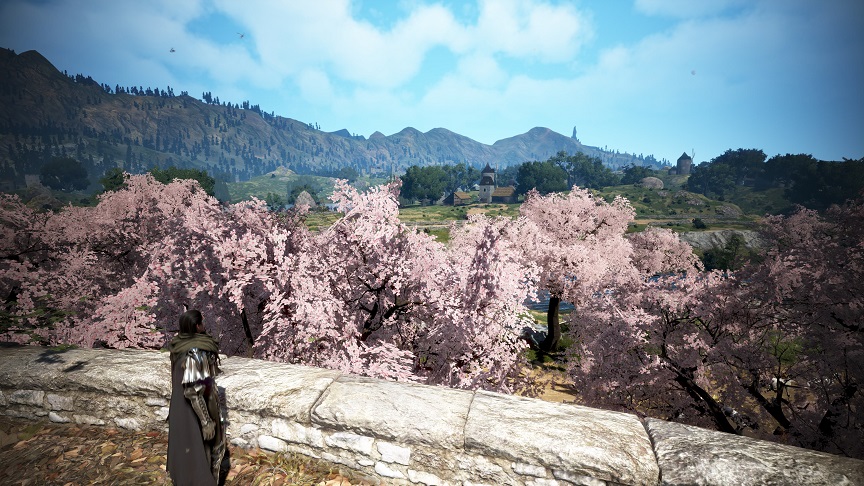 黒い砂漠PC版ハイデルの桜